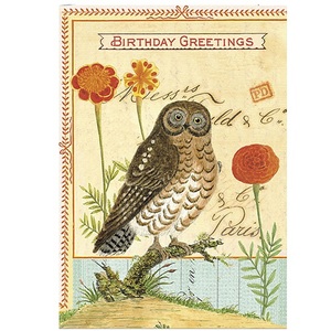 [Cavallini]생일축하카드-Owl