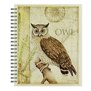 [Lang]스케치북-Sanctuary Owl